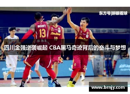 四川金强逆袭崛起 CBA黑马奇迹背后的奋斗与梦想