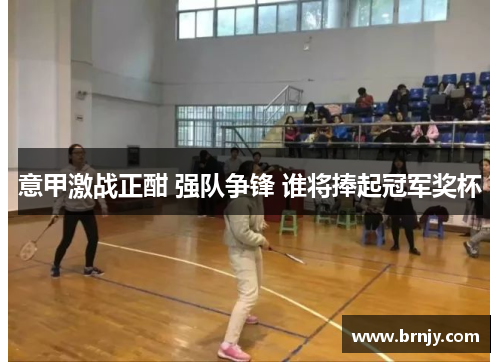 意甲激战正酣 强队争锋 谁将捧起冠军奖杯